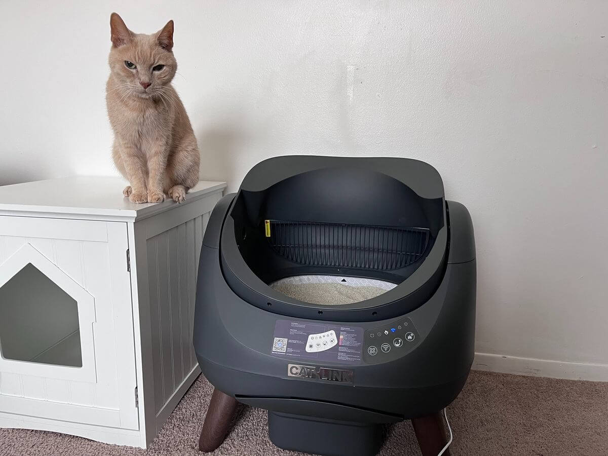 Catlink Scooper Open X