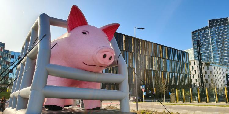 Hof van Justitie van de EU hoort hoe de EC burgers in de steek heeft gelaten wat betreft het verbod op kooien