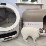 Litter-Robot 5 vs PetSnowy