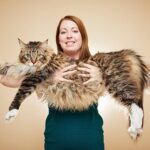 Ludo the longest cat in the world