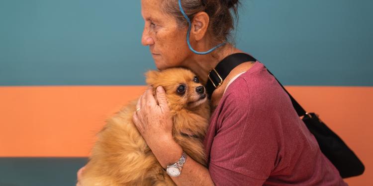 Roep op tot lagere belastingen op veterinaire zorg en huisdiervoeding in Italië