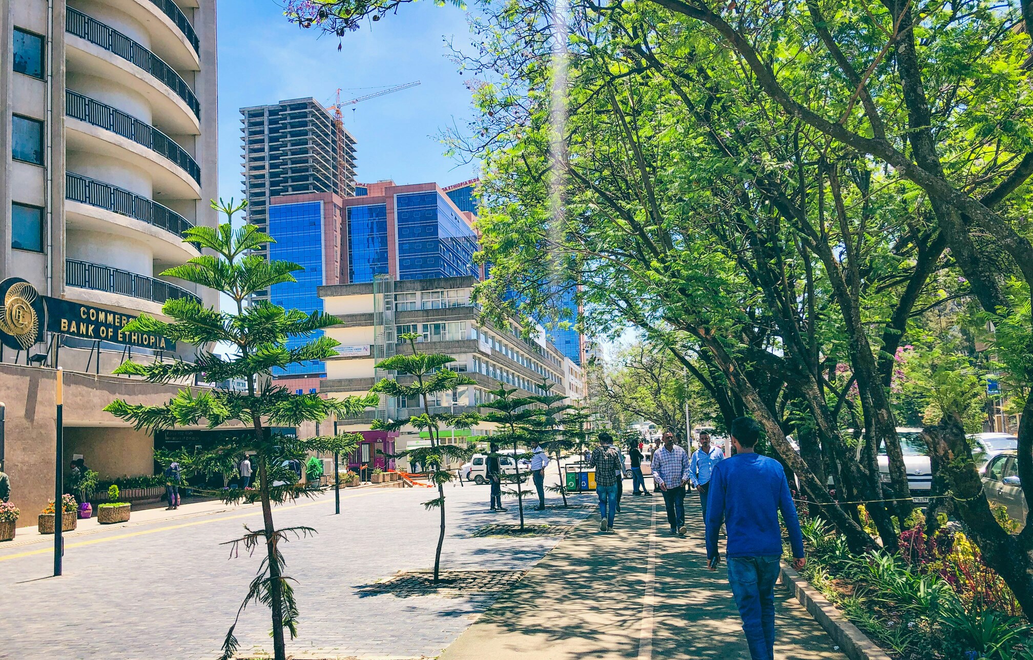 Groene corridors en met bomen omzoomde straten worden steeds gebruikelijker in Addis Abeba na een grote stadsbrede inspanning om rivieroevers te herstellen, openbare groene ruimten uit te breiden en de stedelijke boombedekking te vergroten. Afbeelding door Daniel Emale/Unsplash.
