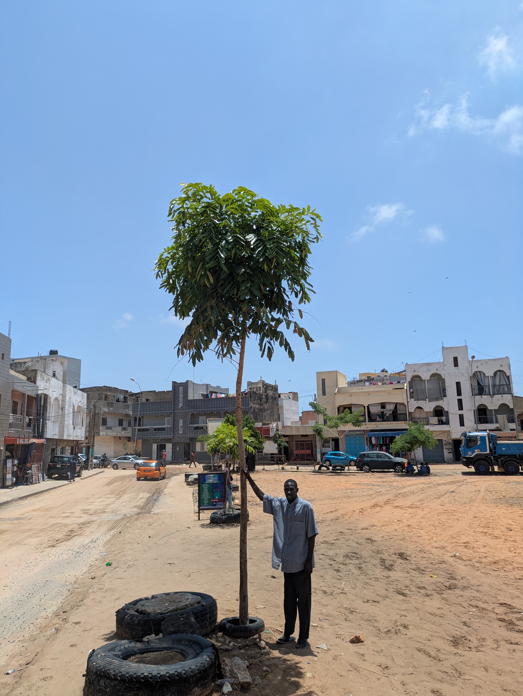 Met naar schatting 4 miljoen inwoners is Dakar een van de dichtstbevolkte steden van Afrika. Het boek belicht door de gemeenschap geleide initiatieven voor het planten van bomen, waaronder initiatieven waarbij jongeren betrokken zijn, als onderdeel van de inspanningen om het aantal bomen in de stad te vergroten en de stad te helpen omgaan met de stijgende temperaturen. Afbeelding met dank aan Alioune Badara Gueye/gemeente Keur Massar Nord.