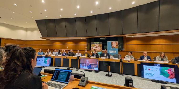 Een kooivrije toekomst is economisch haalbaar, melden boeren en deskundigen