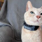 Eureka Marco Polo Advanced Pet Tracker