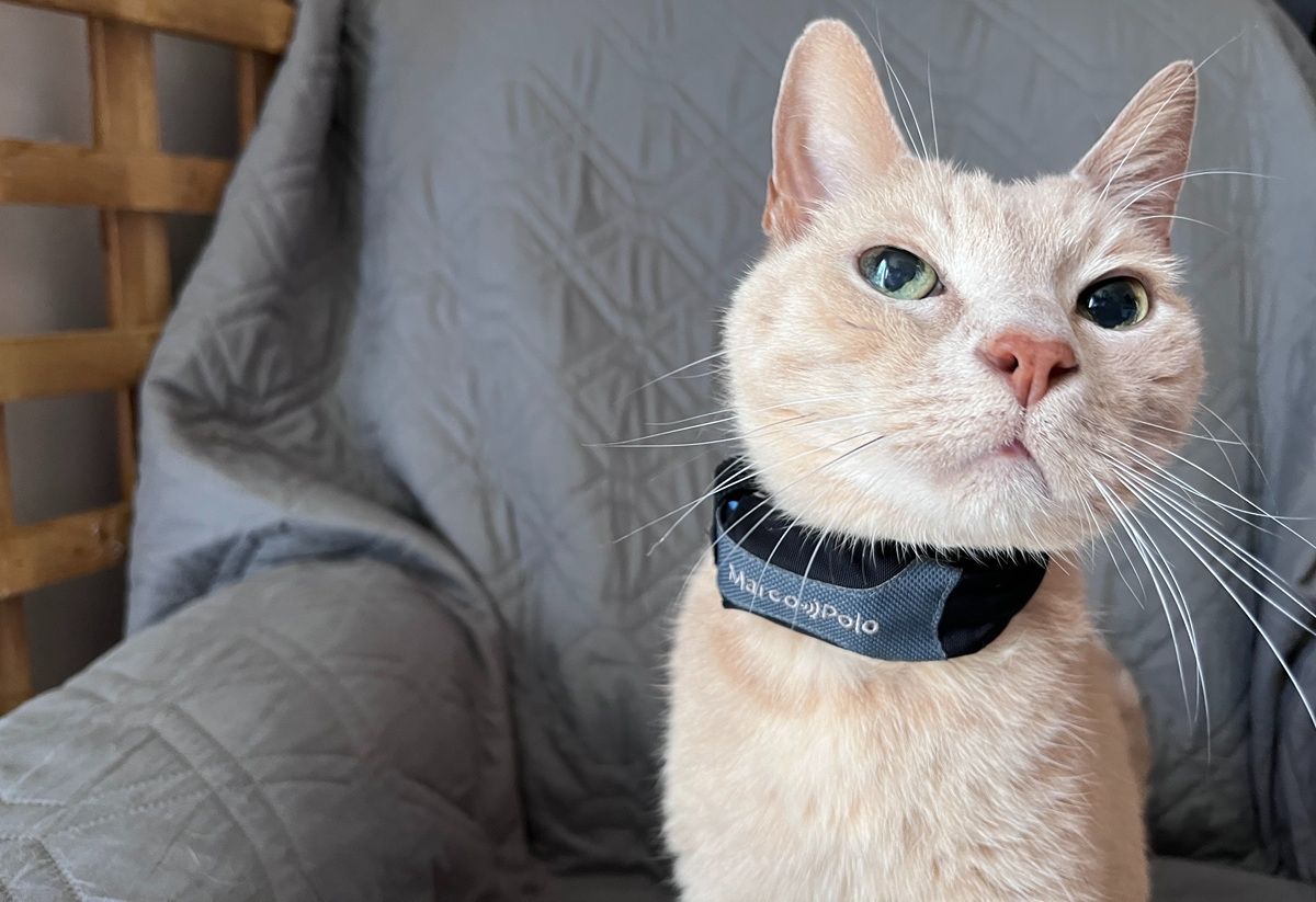 Eureka Marco Polo Advanced Pet Tracker