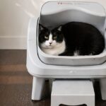 PetPivot Litter Box