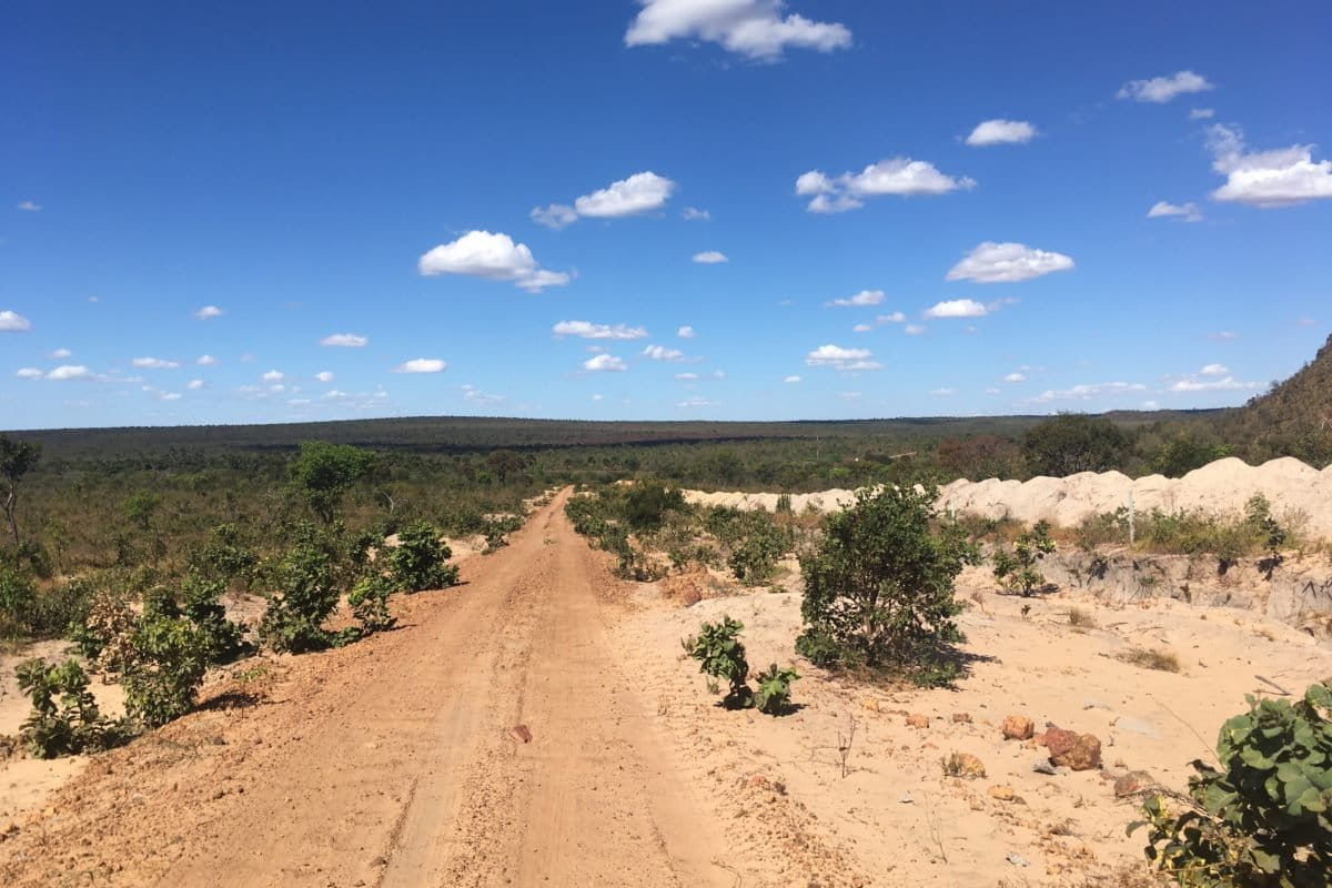 cerrado graslanden
