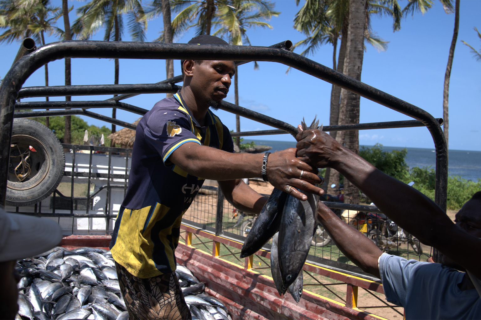 Een arbeider laadt vis op een vrachtwagen op de Mayungu-landingsplaats in Malindi. Afbeelding door Anthony Langat voor Mongabay.