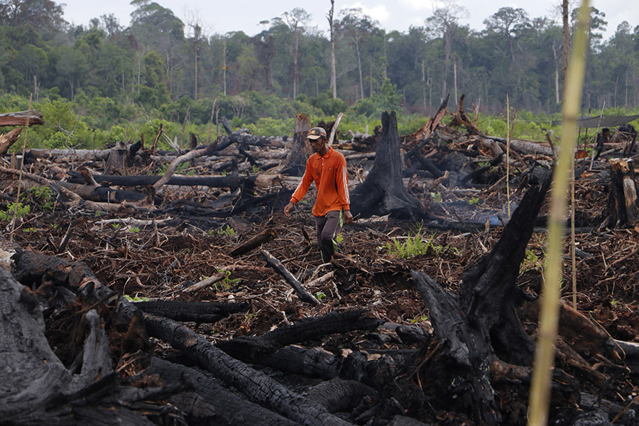 De toestand van het Rawa Singkil Wildlife Reserve, Atjeh, dat nog steeds wordt aangetast.