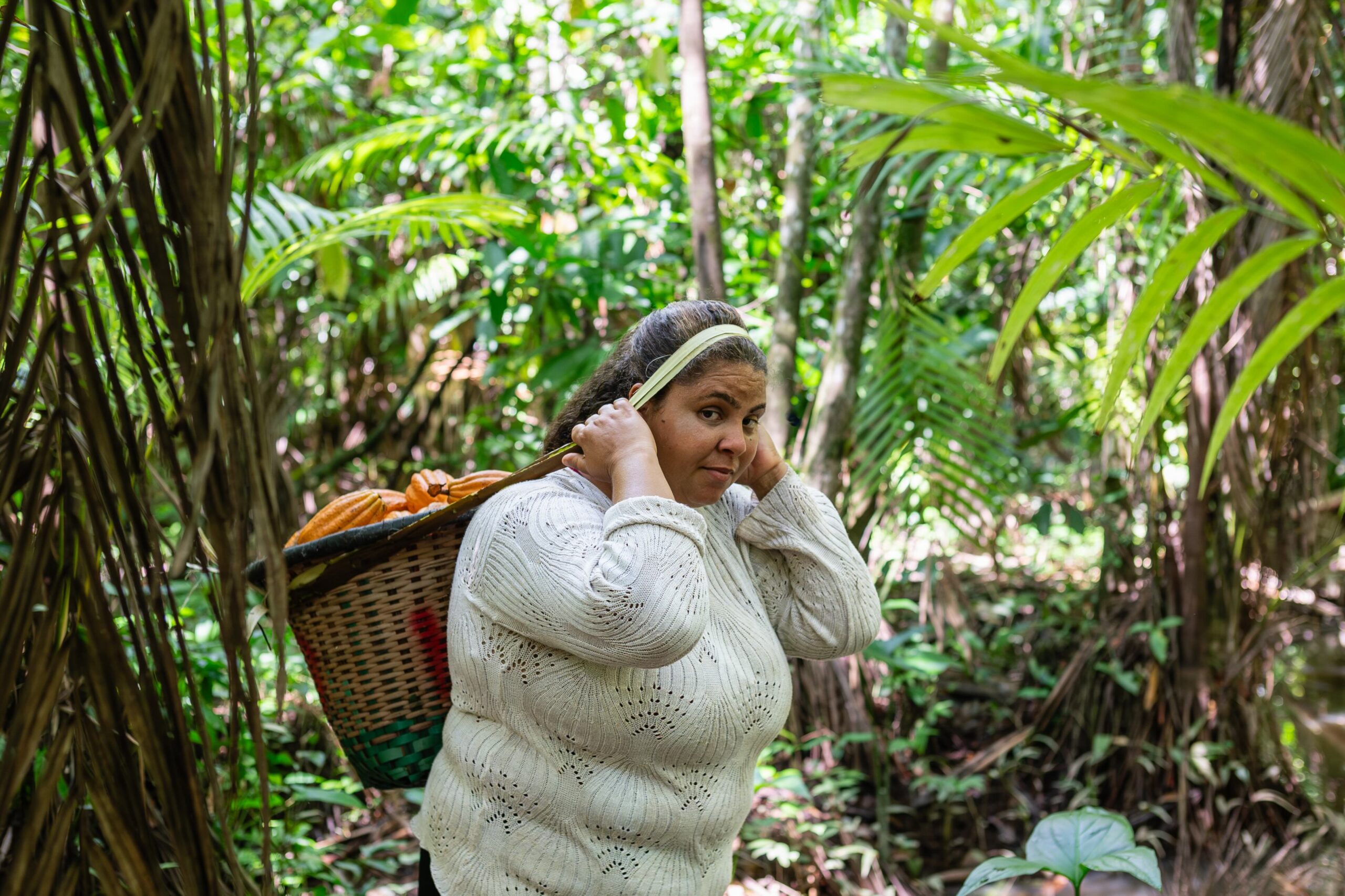 De wilde cacao van Pará wordt op de markt gebracht als een 'superfood' vanwege het hoge gehalte aan antioxidanten en voedingsstoffen, maar de cacaowortels van Elene gaan dieper dan de huidige rage op het gebied van gezonde voeding. Afbeelding door Cícero Pedroso.