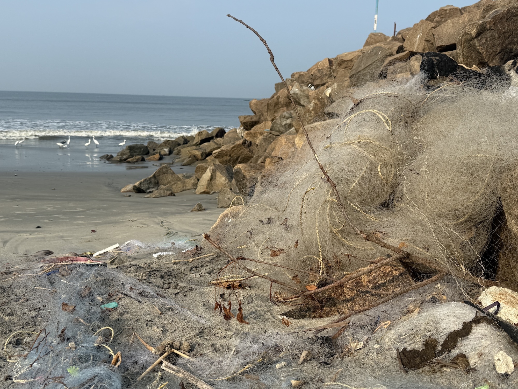 Een weggegooid visnet verstrikt de rotsen bij Fort Kochi in de stad Kochi. Onder de zee kunnen ‘spookuitrusting’ op vergelijkbare wijze mariene ecosystemen omhullen. Afbeelding door Robert Bociaga voor Mongabay. 