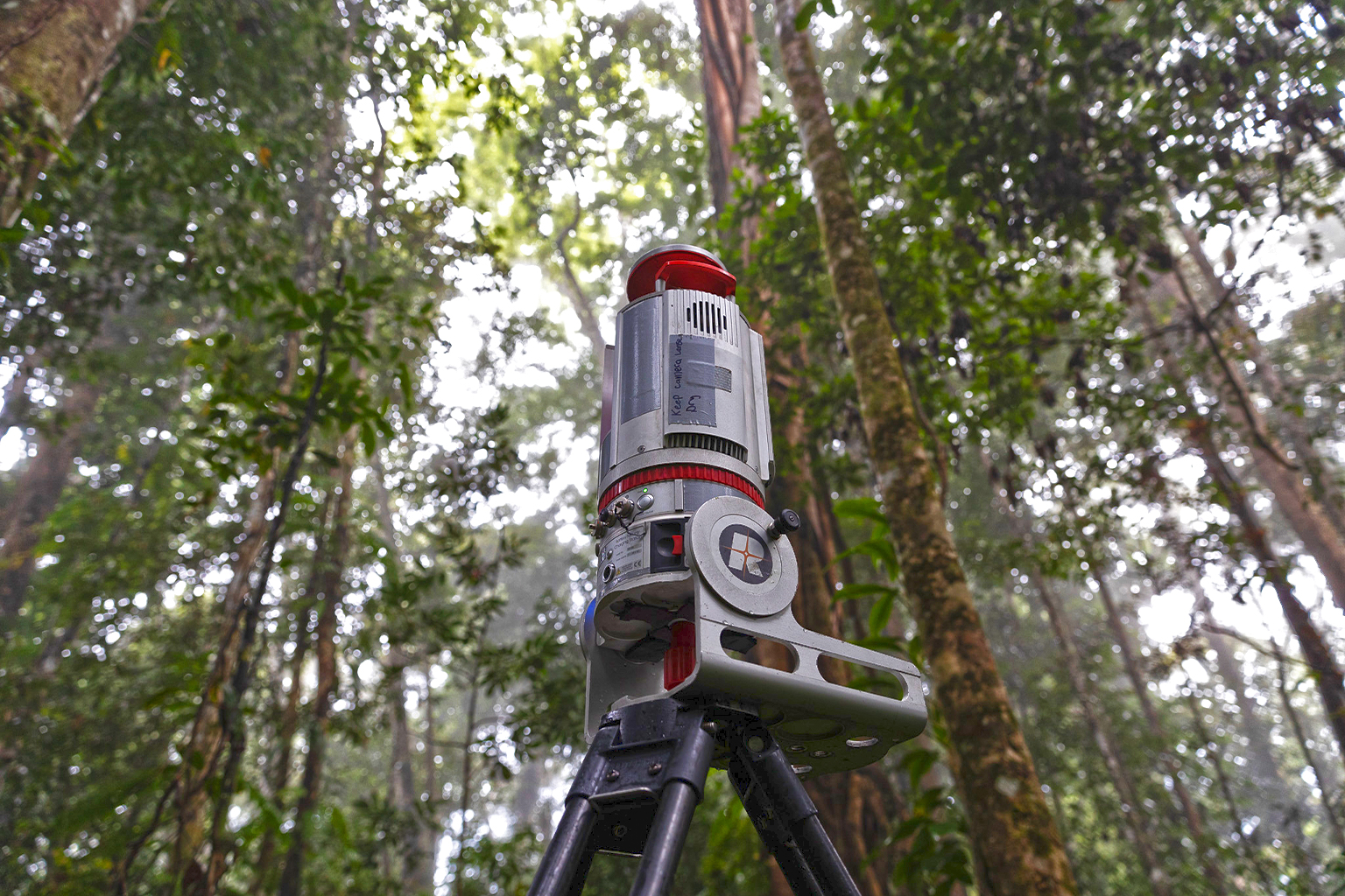 Onderzoekers gebruikten LiDAR om te schatten hoeveel koolstof er in de bovengrondse vegetatie zat op drie herstelde regenwoudlocaties. Afbeelding met dank aan ArborMeta.