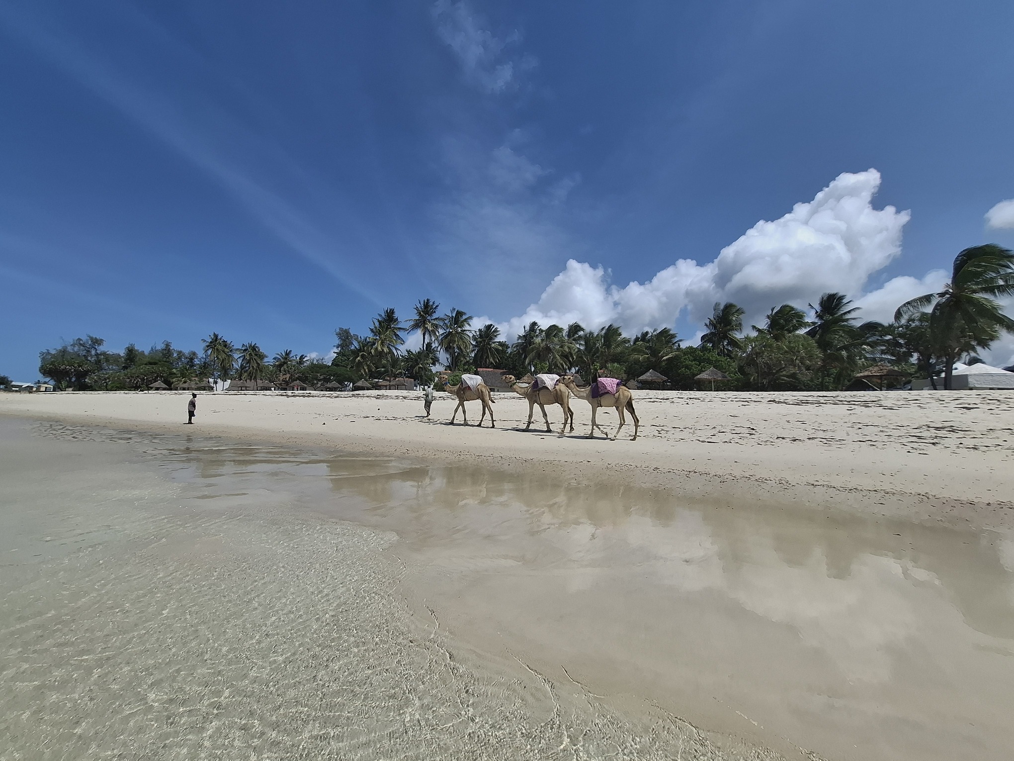 Dianistrand in de provincie Kwale, Kenia. Afbeelding door Malavika Vyawahare/Mongabay.