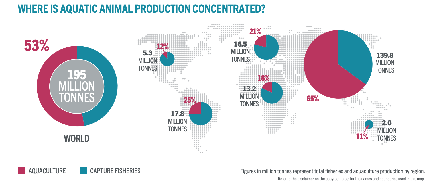 Een grafiek uit het SOFIA 2026-rapport die laat zien waar de productie van waterdieren wereldwijd geconcentreerd is.