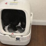 Mintakawa Automatic Litter Box