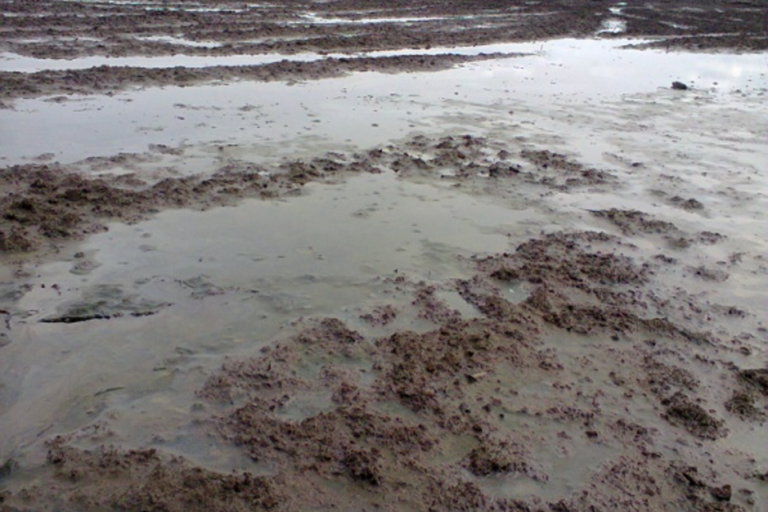 Olieramp van onbekende omvang nabij Bille in 2013 en opgeruimd in 2014, volgens gegevens van de Nigeriaanse olierampmonitor. Afbeelding met dank aan het National Oil Spill Detection and Response Agency.