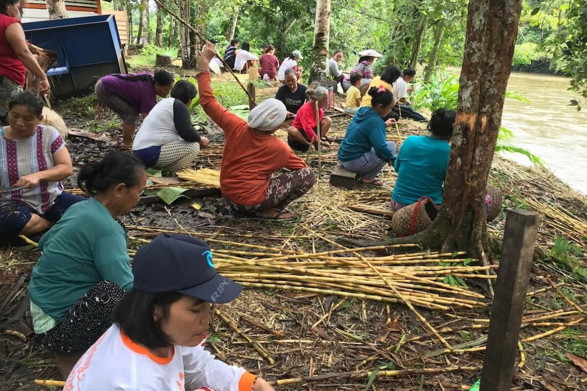 De inheemse gemeenschap van Long Isun in Kalimantan, Indonesië, haalt veel voordelen uit haar grondgebied, waaronder niet-hout bosproducten. Hier hebben vrouwen wat suikerriet geoogst. Foto met dank aan de Long Isun-gemeenschap.