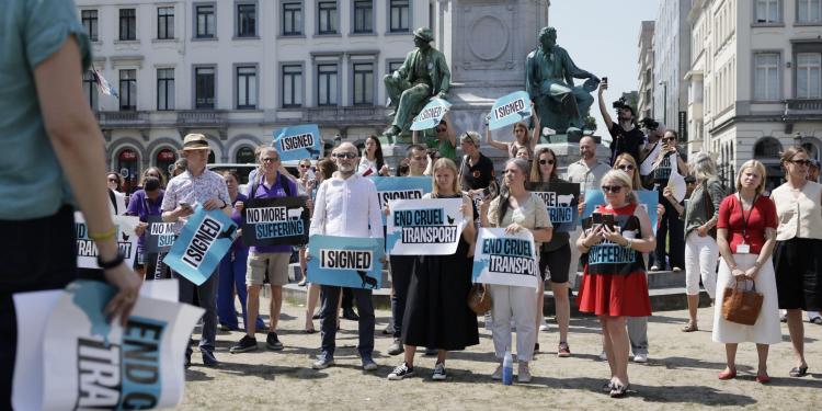Uw stem is nodig: vraag de leden van het Europees Parlement om eindelijk het transport van levende dieren op orde te krijgen