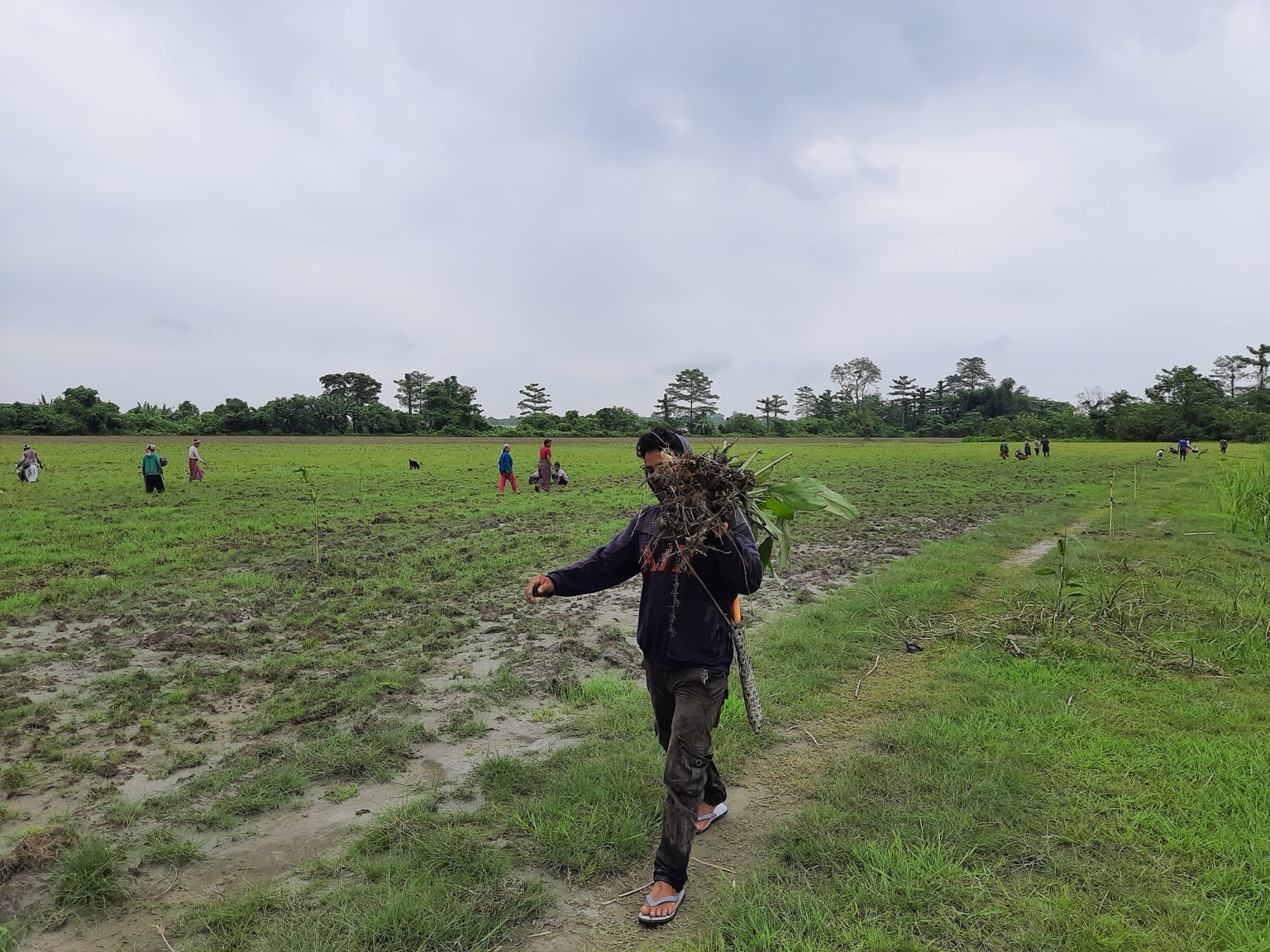 De normen benadrukken het belang van lokale en inheemse kennis. Afbeelding met dank aan Shiekh Marifatul Haq/Wildlife Trust of India.