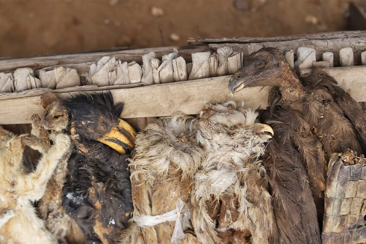 2-voodoo-markt-in-Togo
