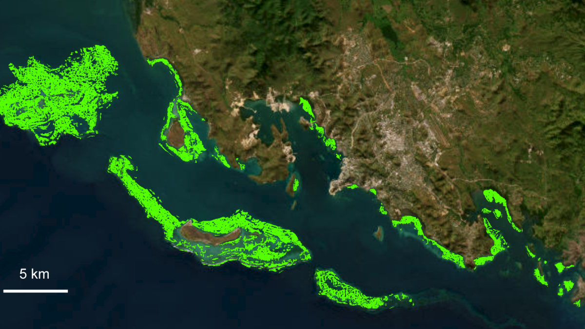 Gebieden met zeegras in Papoea-Nieuw-Guinea zoals ontdekt op de zeegraskaart.