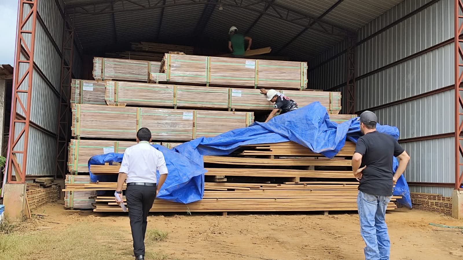 In Pando, in het noorden van Bolivia, voerden lokale aanklagers invallen uit bij zagerijen en houtbedrijven. Afbeelding met dank aan het Boliviaanse Openbaar Ministerie.