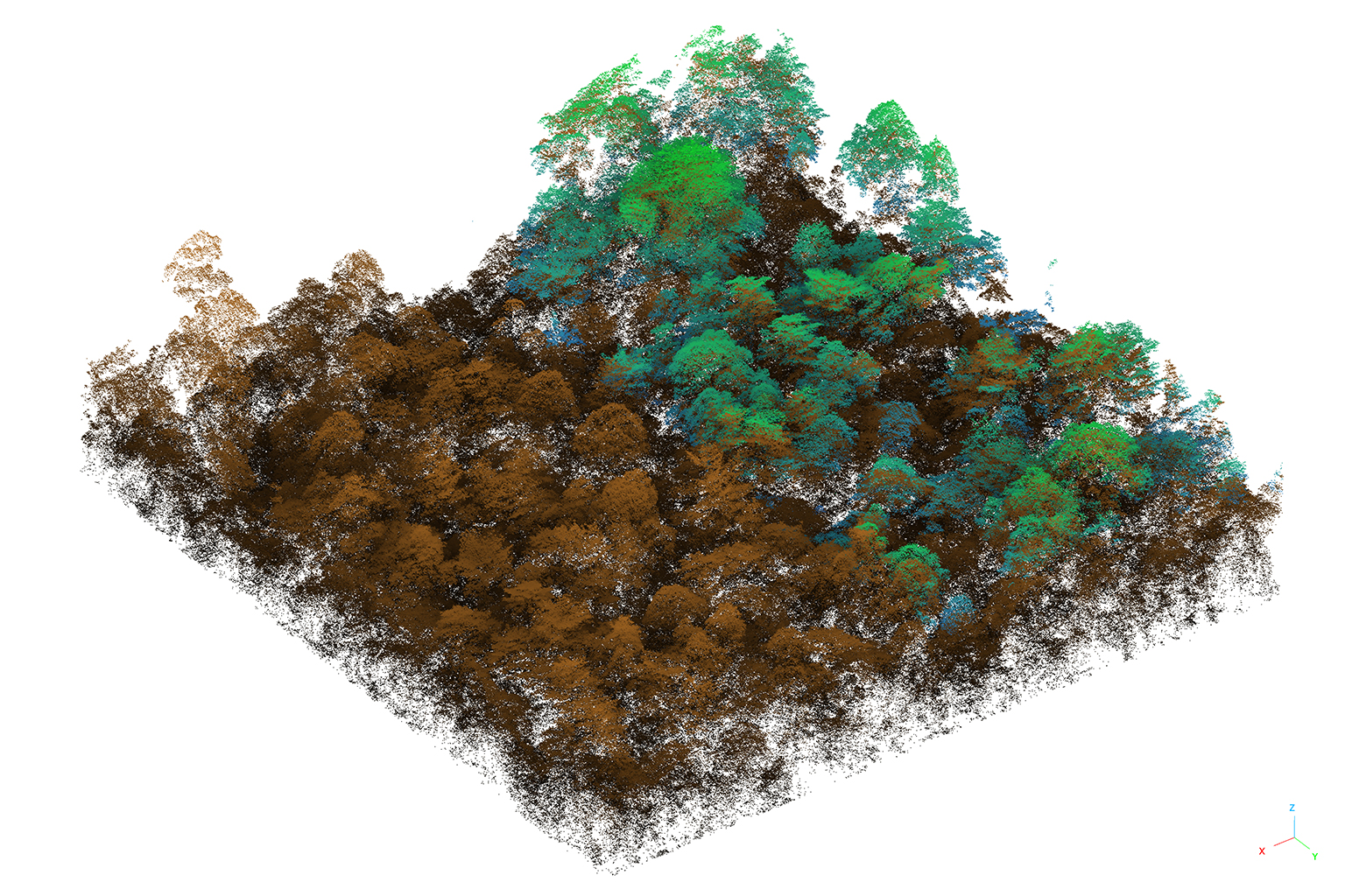 Lidar-puntenwolk in de lucht van een lianenveld van 4 hectare bij het Sabah Biodiversity Experiment: de scan van 2013 aan de linkerkant (bruin), de scan van 2020 aan de rechterkant (groen). Het groen toont zeven jaar groei van het bladerdak en geeft een idee van de 3D-details in de dataset. Afbeelding met dank aan SEARRP.