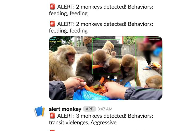 Waarschuwingen over apen op Slack.