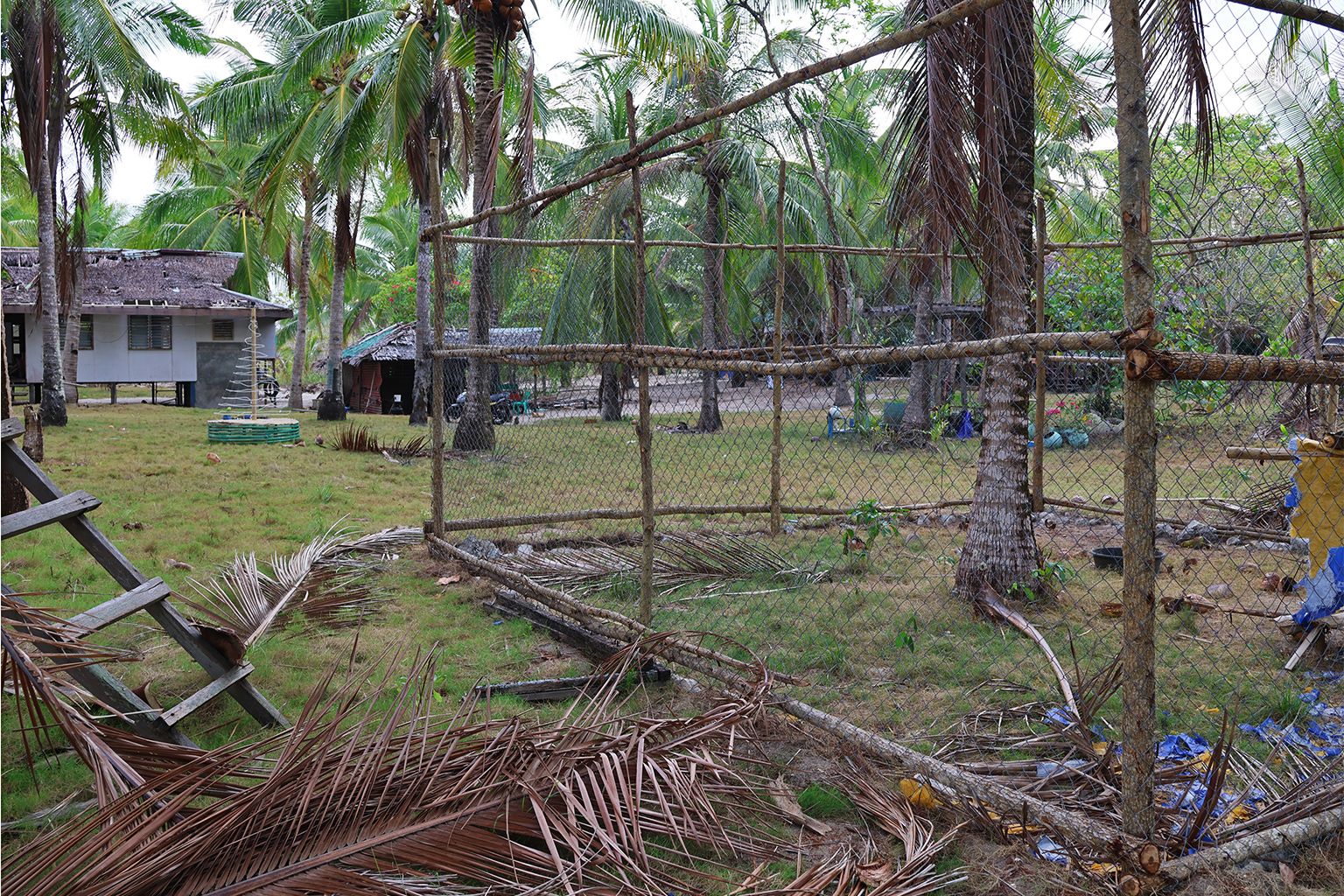 Een hek houdt honden 's nachts weg van het strand. Santo Niño, San Vicente, Palawan, in april 2026. Afbeelding door Rachel Duckett voor Mongabay.