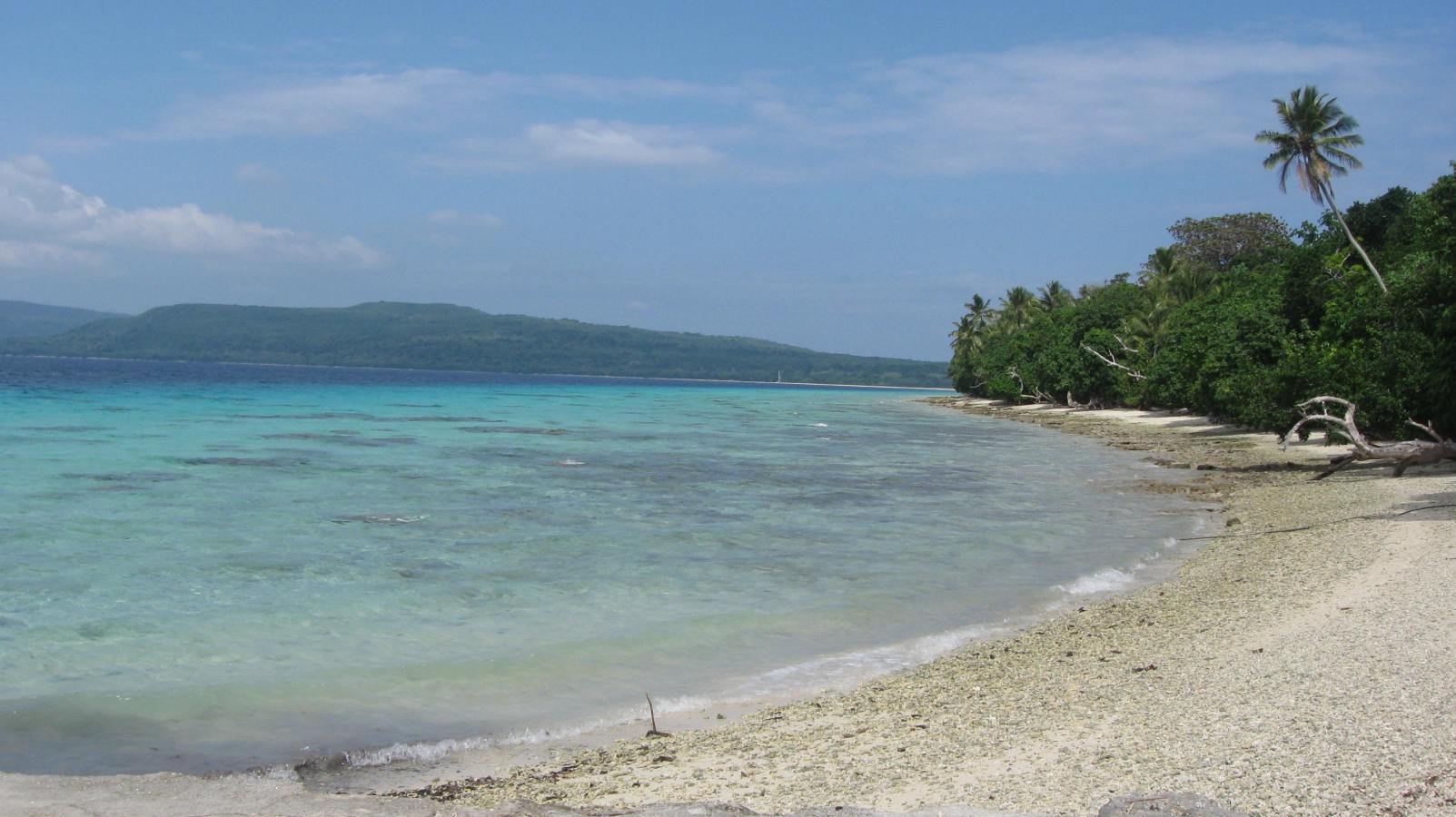 Kustlijn van Vanuatu met aquamarijnwater en een strand met bomen.