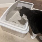 AIPERRO XL Stainless Steel Litter Box