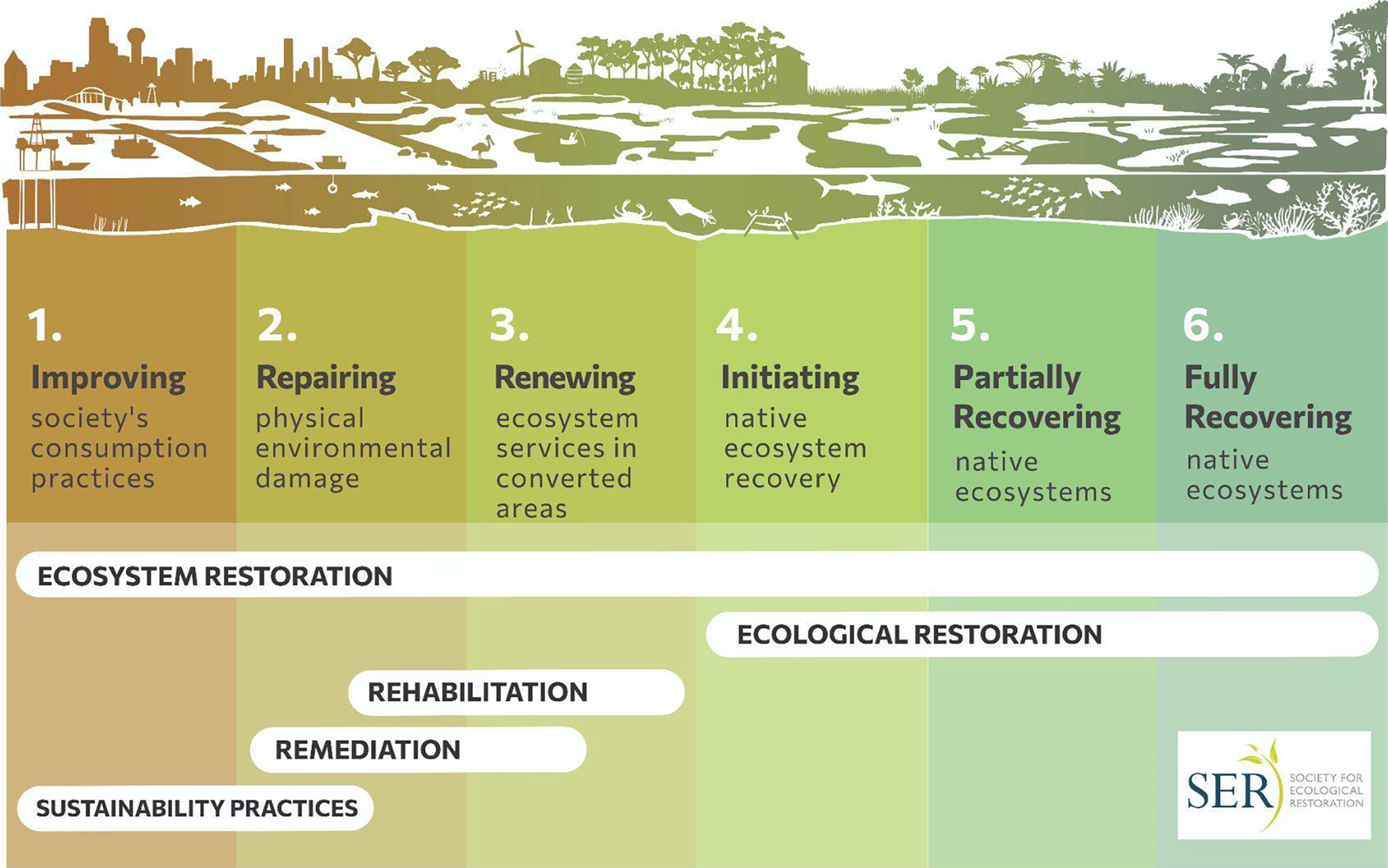Het Restoration Continuum toont het spectrum van mogelijke inspanningen die kunnen helpen de biodiversiteit te vergroten, ecosysteemdiensten veilig te stellen en de achteruitgang tegen te gaan. Afbeelding met dank aan Gann et al., 2026 (CC BY-NC 4.0).