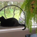 Tuft & Paw Cloud Nine Window Hammock