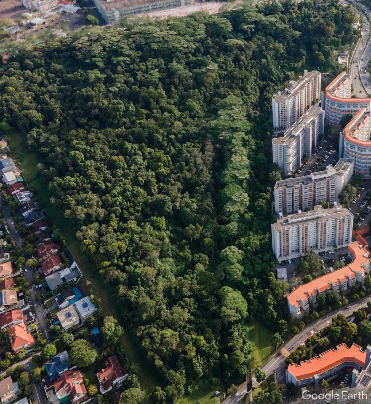 Google Earth-afbeelding van Maju Forest in Singapore door Brice Li/Facebook via TimeOut Singapore.