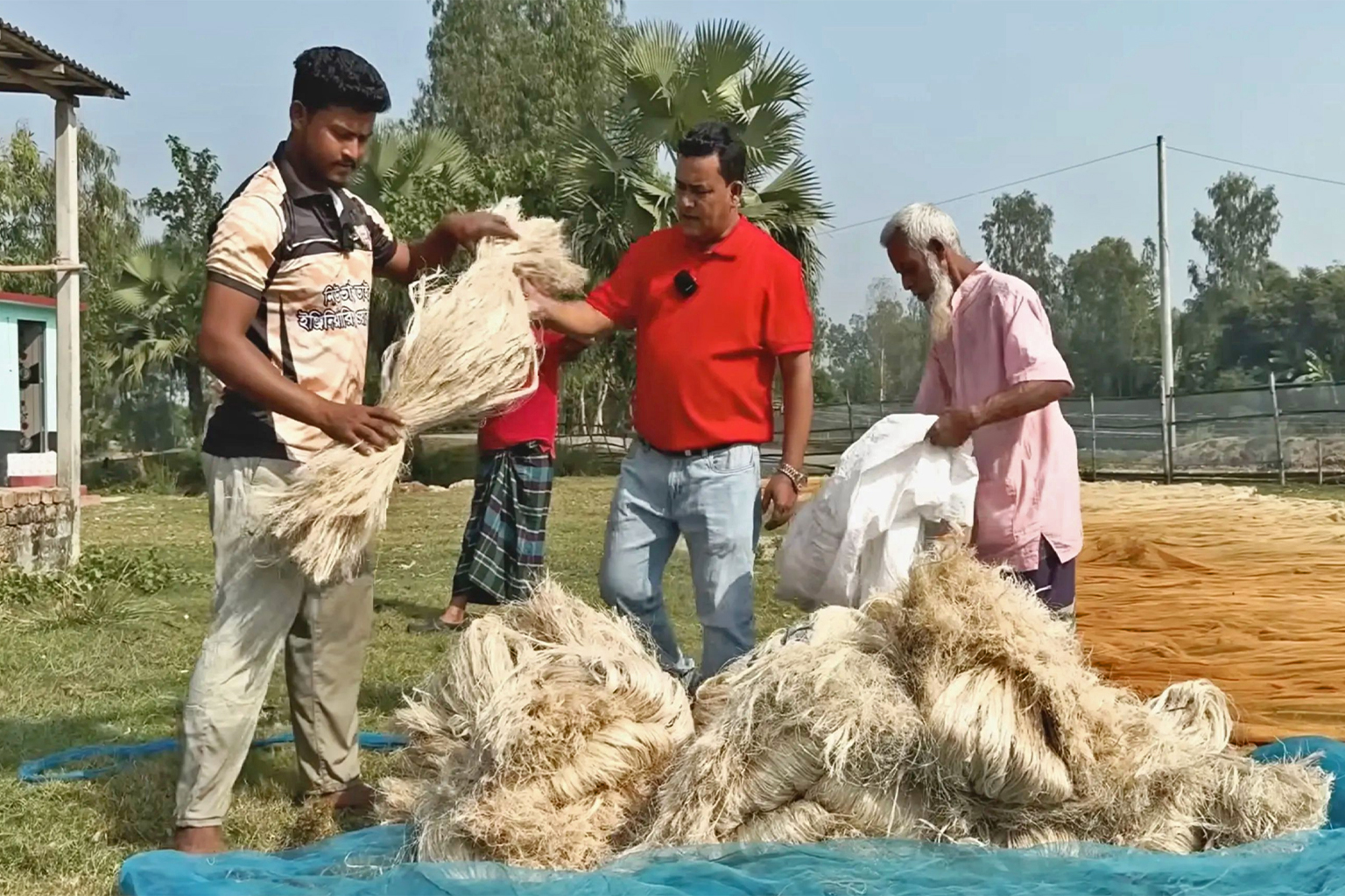 Een ondernemer droogt bananenvezels in de zon in Pabna, west-centraal Bangladesh. Afbeelding door Md Hafijul Islam.