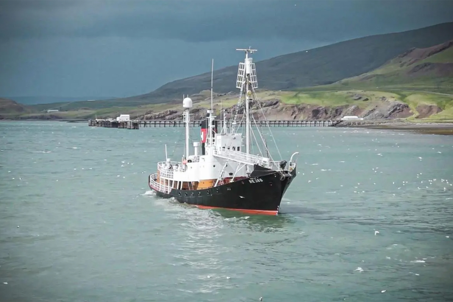 2. De M/V Bandero heeft toezicht gehouden op de walvisjachtactiviteiten van de laatste commerciële walvisvaartmaatschappij van IJsland, Hvalur hf.; het schip werd op 30 juli in beslag genomen door de IJslandse kustwacht en de bemanning werd vastgehouden. Afbeelding door Lucien Richardson.