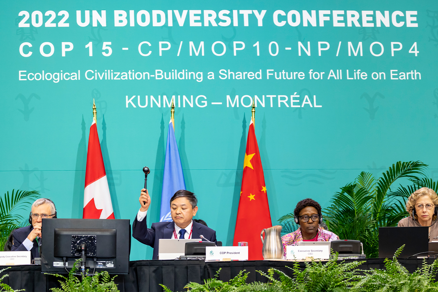 Goedkeuring van het Kunming-Montreal Global Biodiversity Framework op de Biodiversiteitsconferentie van de Verenigde Naties in 2022. 