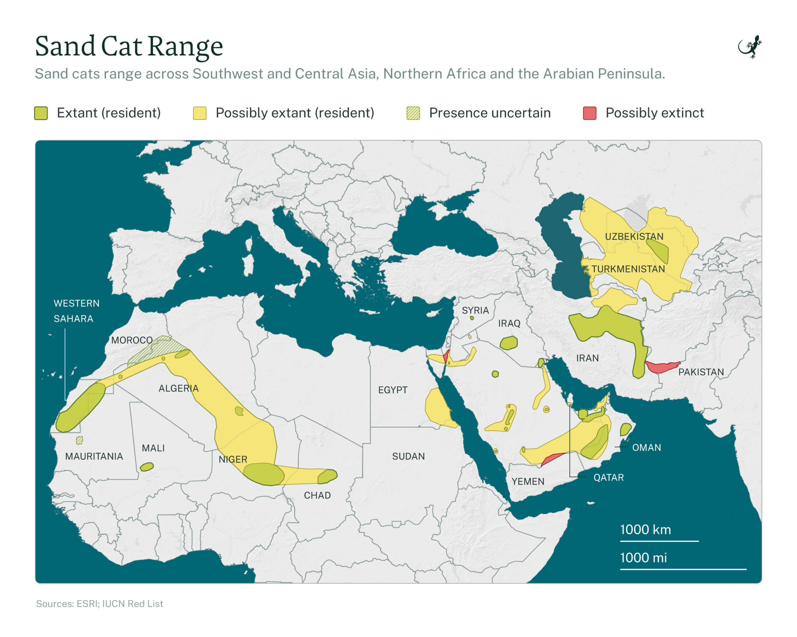 Zandkatten variëren in Zuidwest- en Centraal-Azië, Noord-Afrika en het Arabische schiereiland.