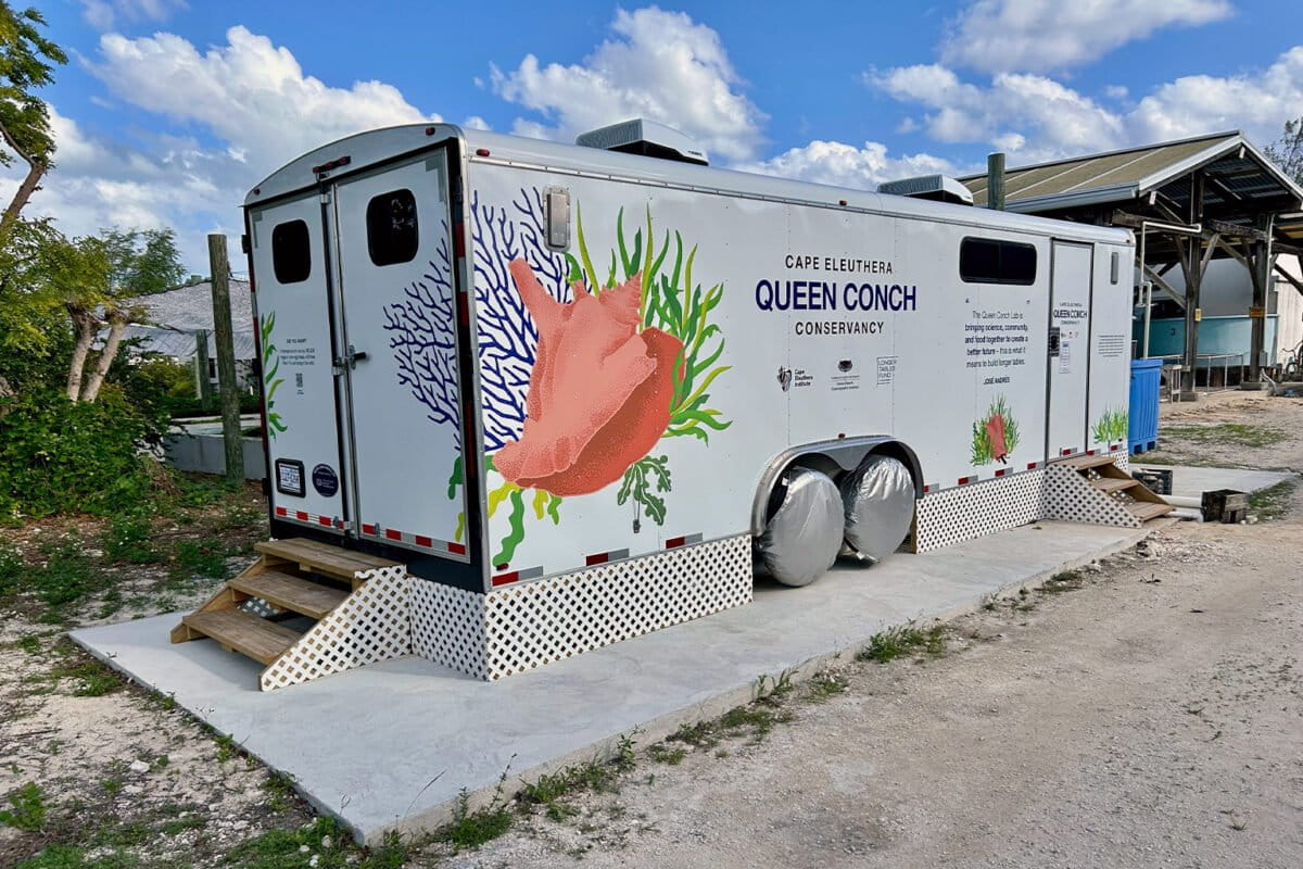 De nieuwste mobiele broederij voor koninginnenschelpen, in april 2026 ingezet bij het Cape Eleuthera Institute in Eleuthera, Bahama's. Afbeelding met dank aan Megan Davis.
