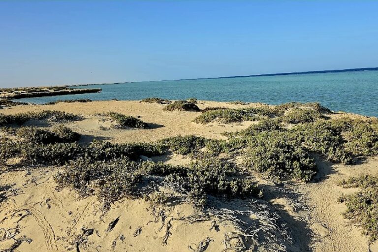 Kustlandschap van de Rode Zee. Afbeelding met dank aan Marwan Mahmoud Kamal Hamdoun.