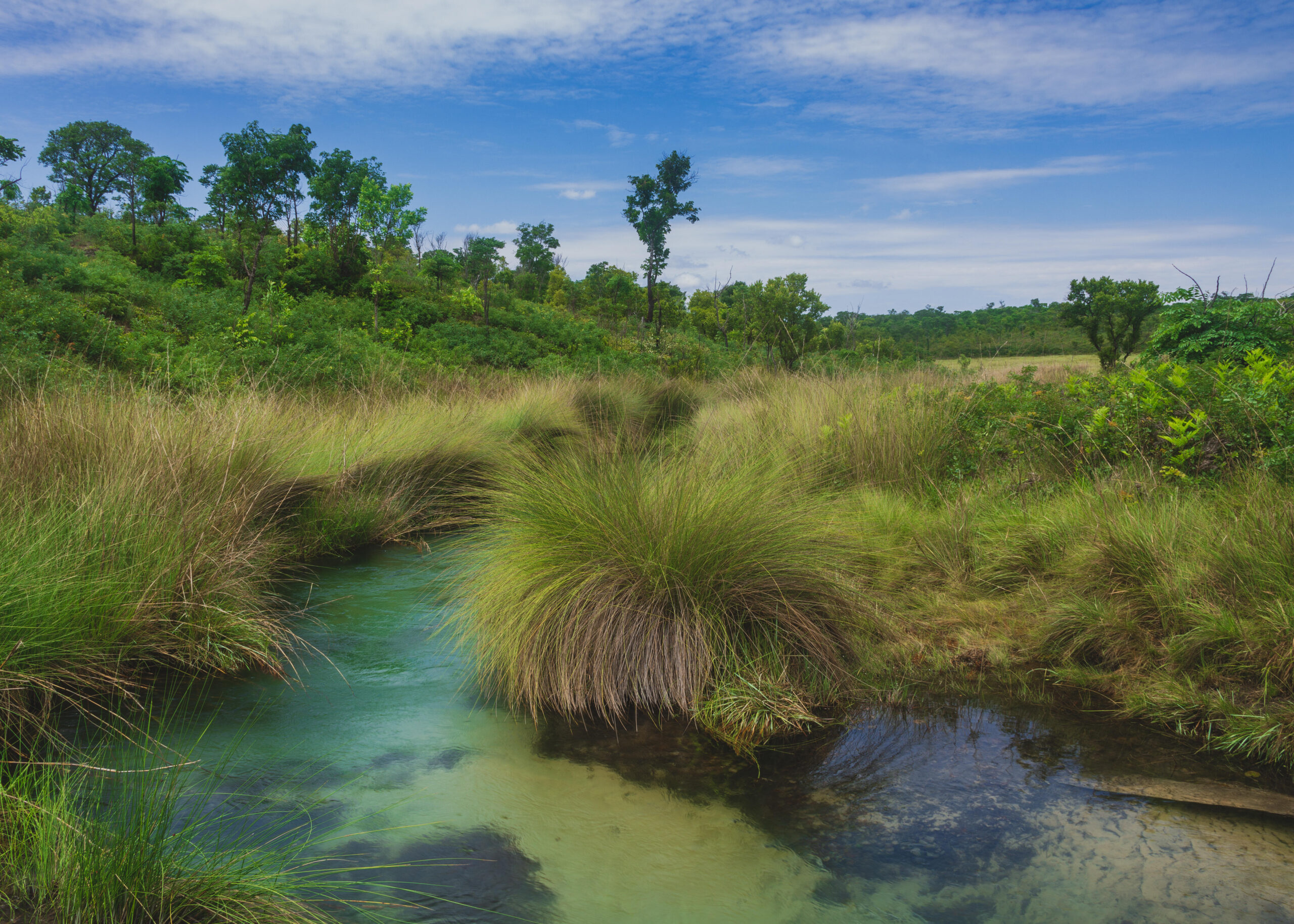 Het Tchansengwa Source Lake ligt in de Angolese Highlands Water Tower, die deel uitmaakt van vitale veengebieden en wetlands die grote regionale riviersystemen voeden. Afbeelding met dank aan Paulo Perestrelo/National Geographic.