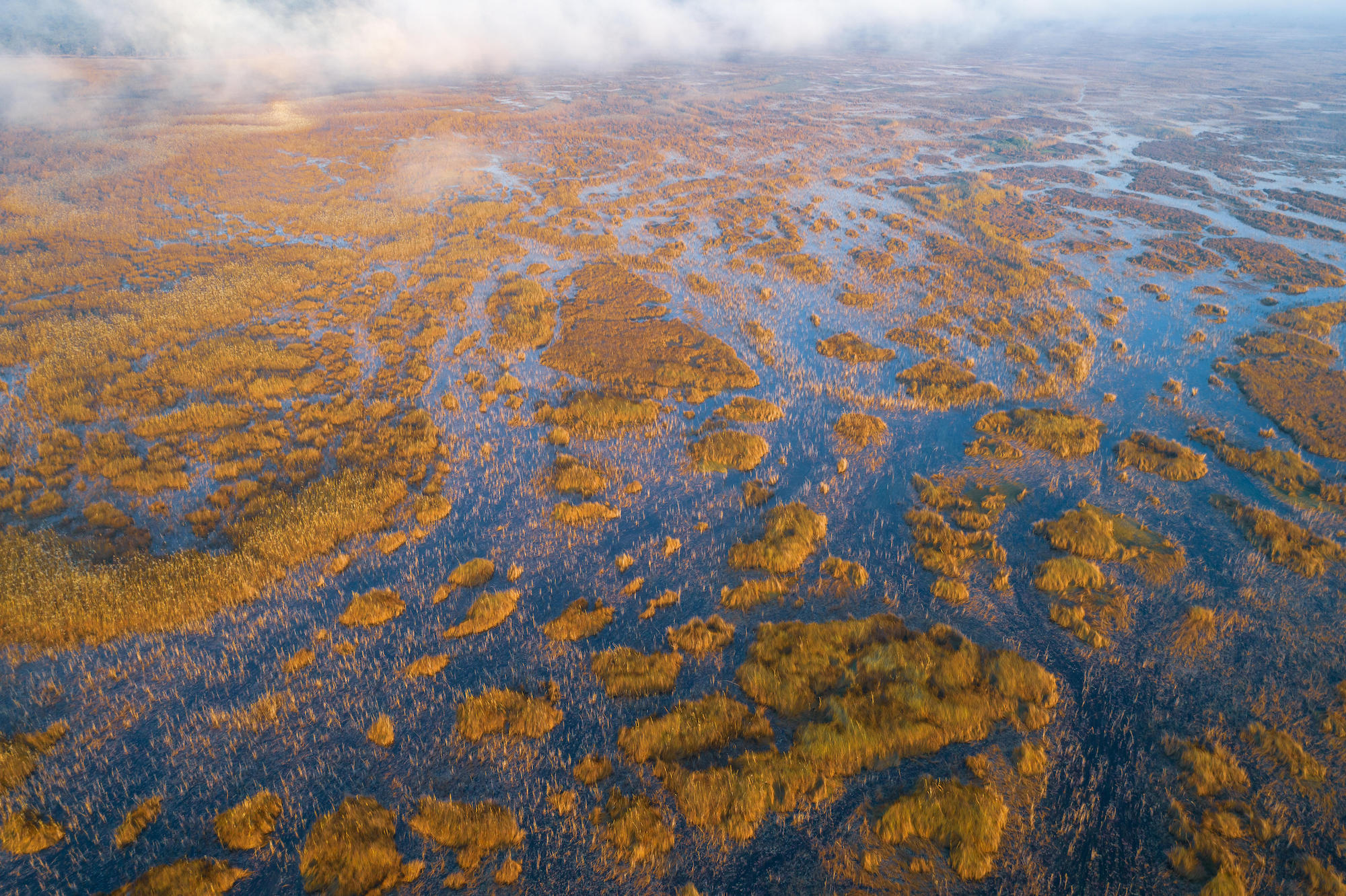Luchtfoto van de mokoro's aan de oever van de Cuando-rivier bij zonsopgang, genomen tijdens de expeditie van het Okavango Wilderness Project in 2018. Afbeelding met dank aan Kostadin Luchansky voor National Geographic.