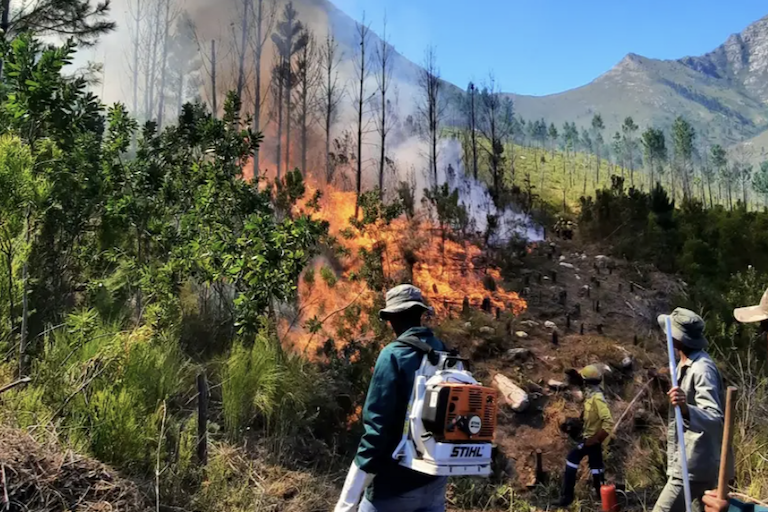 Brandbeheer in de regio Langkloof in Zuid-Afrika. Afbeelding met dank aan Living Lands.