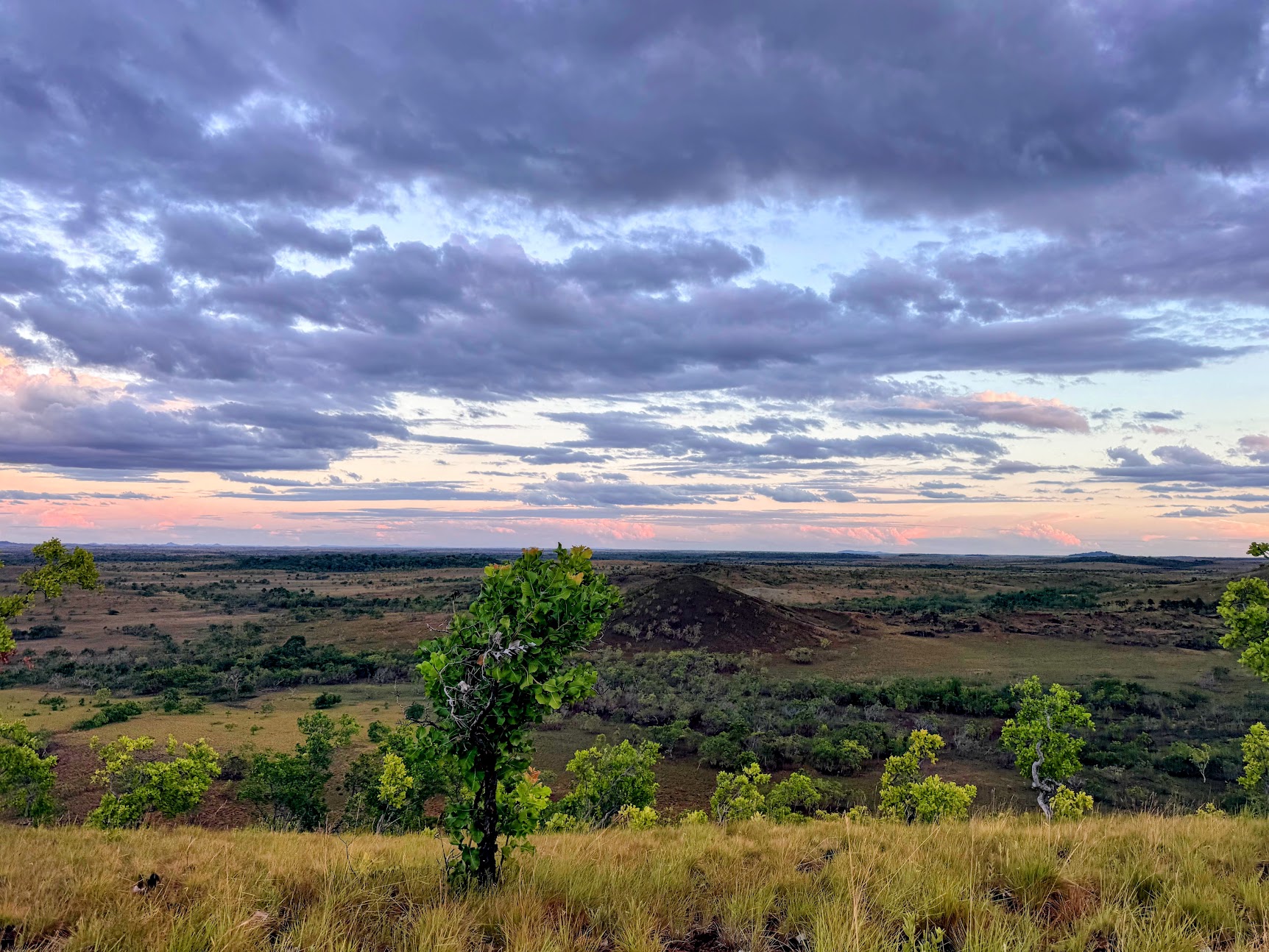 Landschap van Zuid-Rupununi.