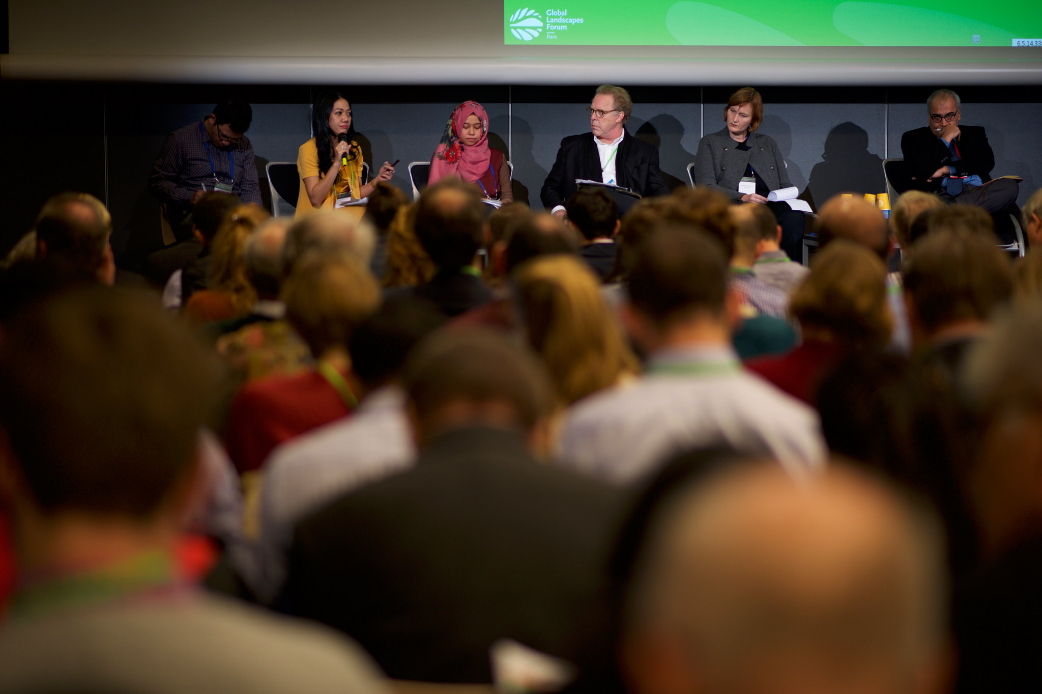 Een actie op een discussieforum over beloften van nulontbossing en de uitdaging om publieke en private duurzaamheidsdoelen met betrekking tot palmolie in Indonesië op één lijn te brengen, Global Landscapes Forum, Parijs, december 2015. 