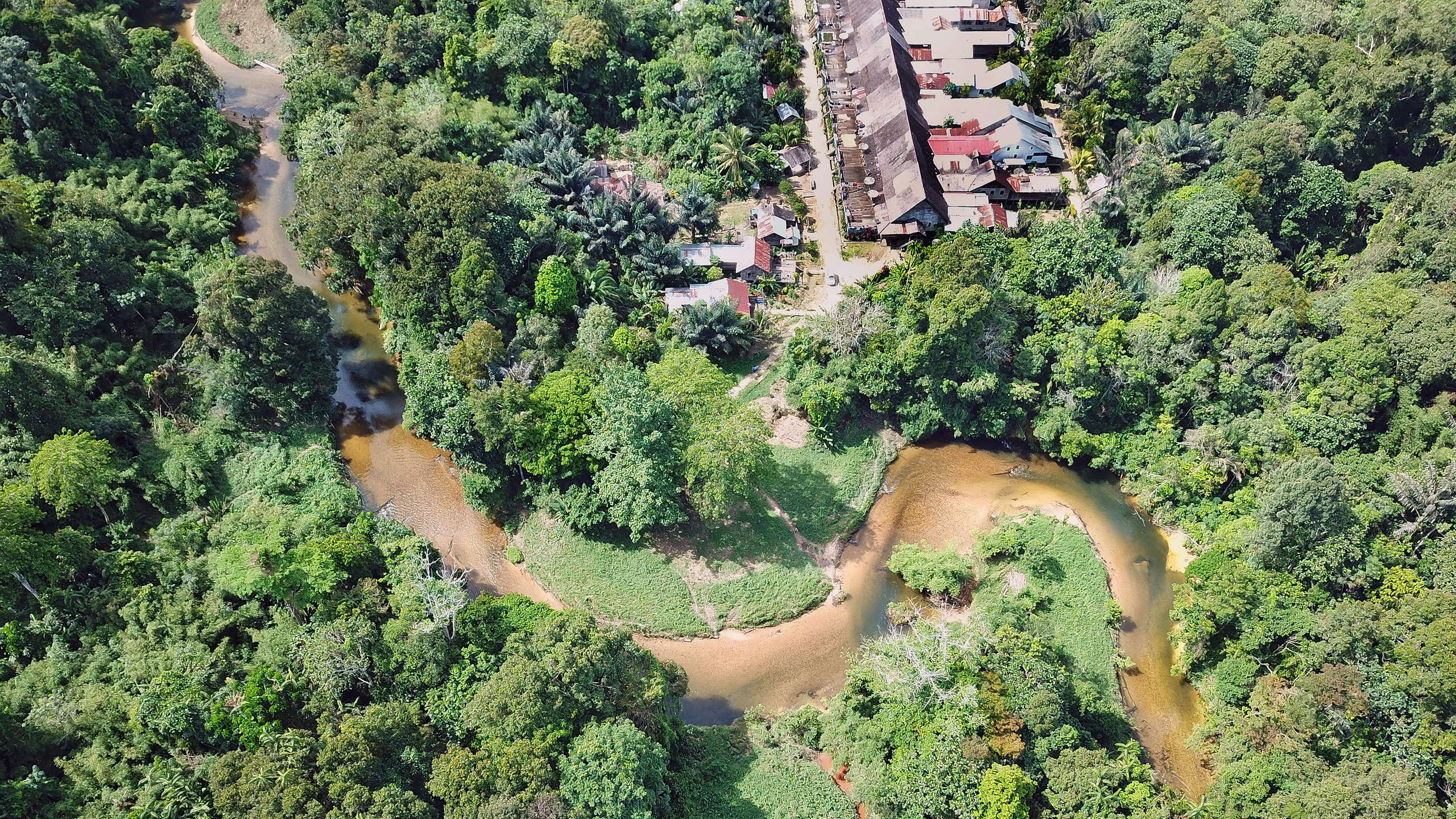 Long-house in Sungai Utik, een Iban-gemeenschap in West-Kalimantan die zijn gebruikelijke bossen met succes heeft verdedigd tegen houthakkers. Fotocredit: Rhett A. Butler / mongabay