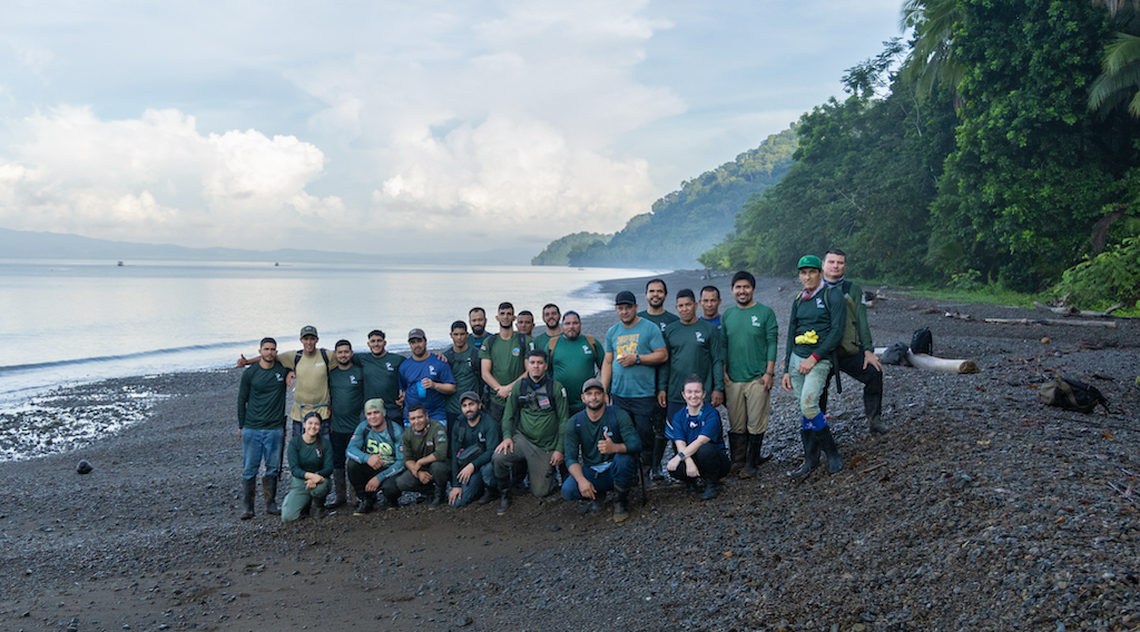 Na het succesvol verplaatsen van 13 witlippekari's, vieren de parkwachters van het Osa Conservation Area in Costa Rica en het Osa Conservation-team feest op het strand van Piedras Blancas, ongeveer 2 km van de verplaatsingslocatie. Afbeelding door Ian Rock.