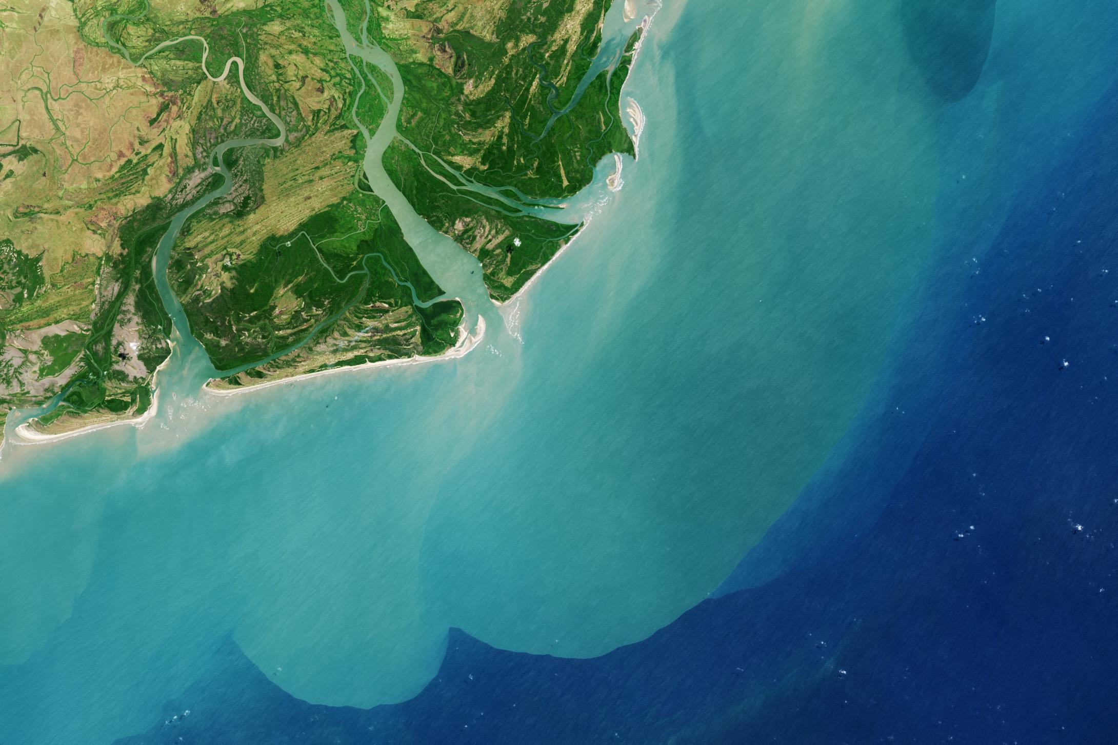 Een satellietbeeld van de Zambezi-rivierdelta. Afbeelding door NASA Earth Observatory.