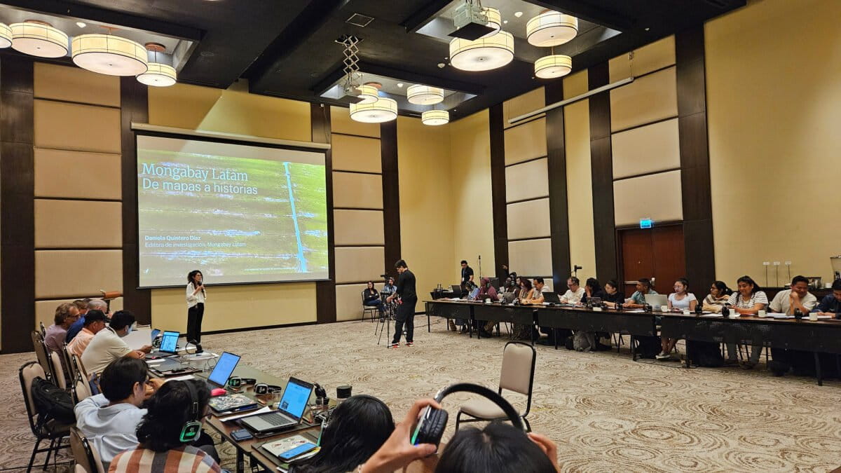 Presentatie van het werk van Mongabay Latam aan meer dan 40 inheemse leiders, samen met experts en organisaties uit Azië, Afrika en Latijns-Amerika, tijdens het International Seminar on the Cartography of Indigenous Territories in Santa Cruz, Bolivia.